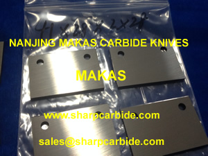 carbide profiling blanks